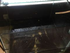 -有家酸菜鱼(苏州绿宝广场店)