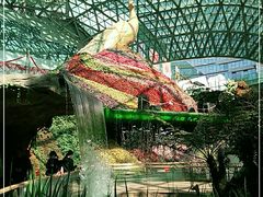 -花之城