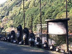 -岚山嵯峨野观光小火车