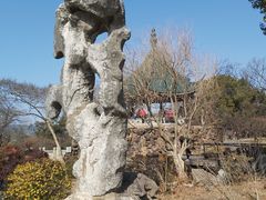 -无锡梅园公园