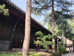-青羊宫