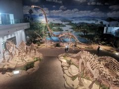 -自贡恐龙博物馆