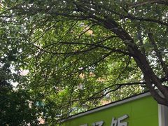 -温记府廟豆汤饭·始于1955年(海椒店)