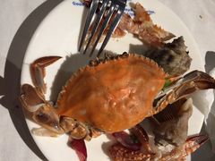 -星伦多 自助料理(圆融店)