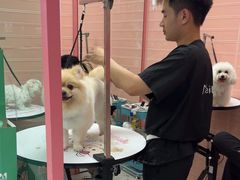 -FAELING PETS美天灵宠物(合生汇店)
