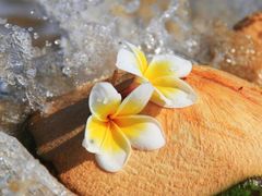 -三亚海棠湾万丽度假酒店