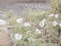 -华南国家植物园-售票处