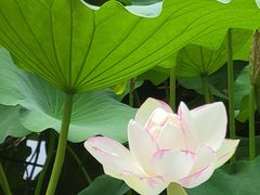 -北京动物园-畅观楼