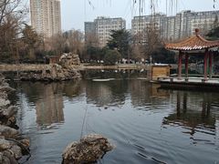 -西苑公园