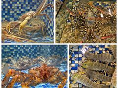 -顺德了能馆(虎门店)