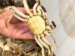 -祥鹤龙虾螃蟹