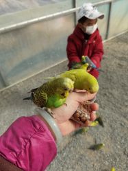 -萌宠亲子动物乐园(槐房万达店)