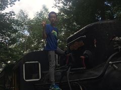 -五营红松林海景区