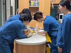 -联合动物医院(光谷诊疗中心)