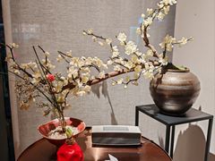 -梅花境(万科店)