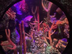 -沈阳海洋探索中心