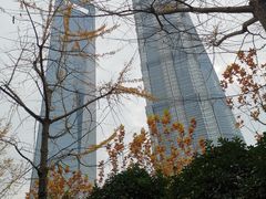 -陆家嘴中心绿地