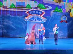 -大连圣亚海洋世界