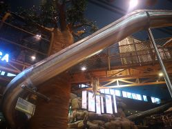 -卡通尼·Safari非洲探索乐园·生日会(金桥国际商业广场店)