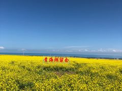 -青海湖国家重点风景名胜区