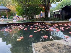 -深业半汤御泉庄温泉