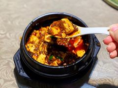 -陈麻婆豆腐总店