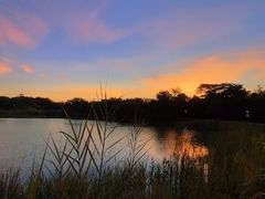 -福田红树林生态公园