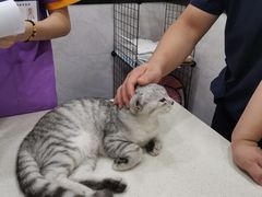 -心语宠物医院·急重症转诊中心·瑞辰华诺(南青路店)
