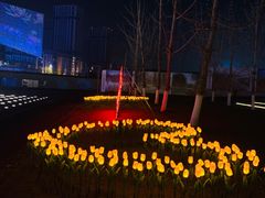 -南京眼步行桥