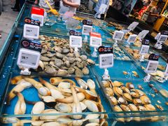 贝类-盒马鲜生(皇庭广场店)
