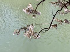 -红星桥(地铁站)