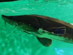 -太平洋海底世界