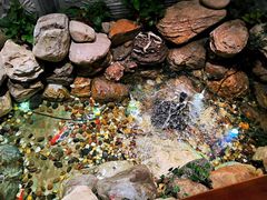 -清真·京华源铜锅涮肉(丰庆店)