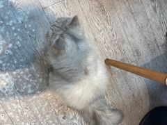 -小时光咖啡馆(北锣鼓巷店)