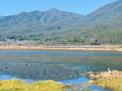 -腾冲北海湿地