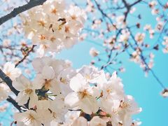 -龙美术馆西岸馆-停车场