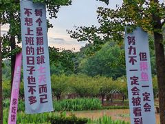 -南京老山国家森林公园