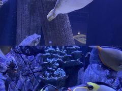 -成都浩海立方海洋公园