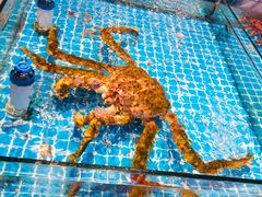 -新金盛·海鲜酒楼(盐田店)