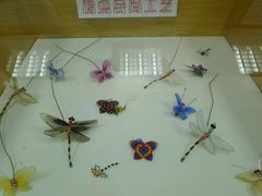 -上海大自然野生昆虫馆