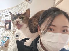 -Let's go狗咖·猫咖·奶狗·桌游(春熙路IFS店)