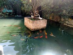 -千滋百味·醉江澜花园餐厅(街道口店)