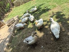 -HERRE·FARM 赫尔露营农场·团建聚会包场