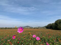 -西海岸生态观光园