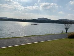 -羊山湖公园