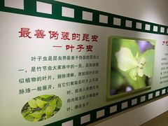 -上海昆虫博物馆