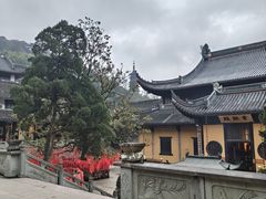 -宁波市保国寺古建筑博物馆