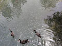 -长白岛森林公园