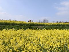 -乌村