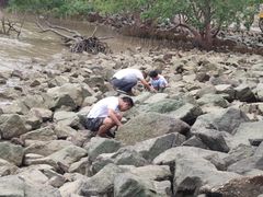 -宝安西湾红树林湿地公园